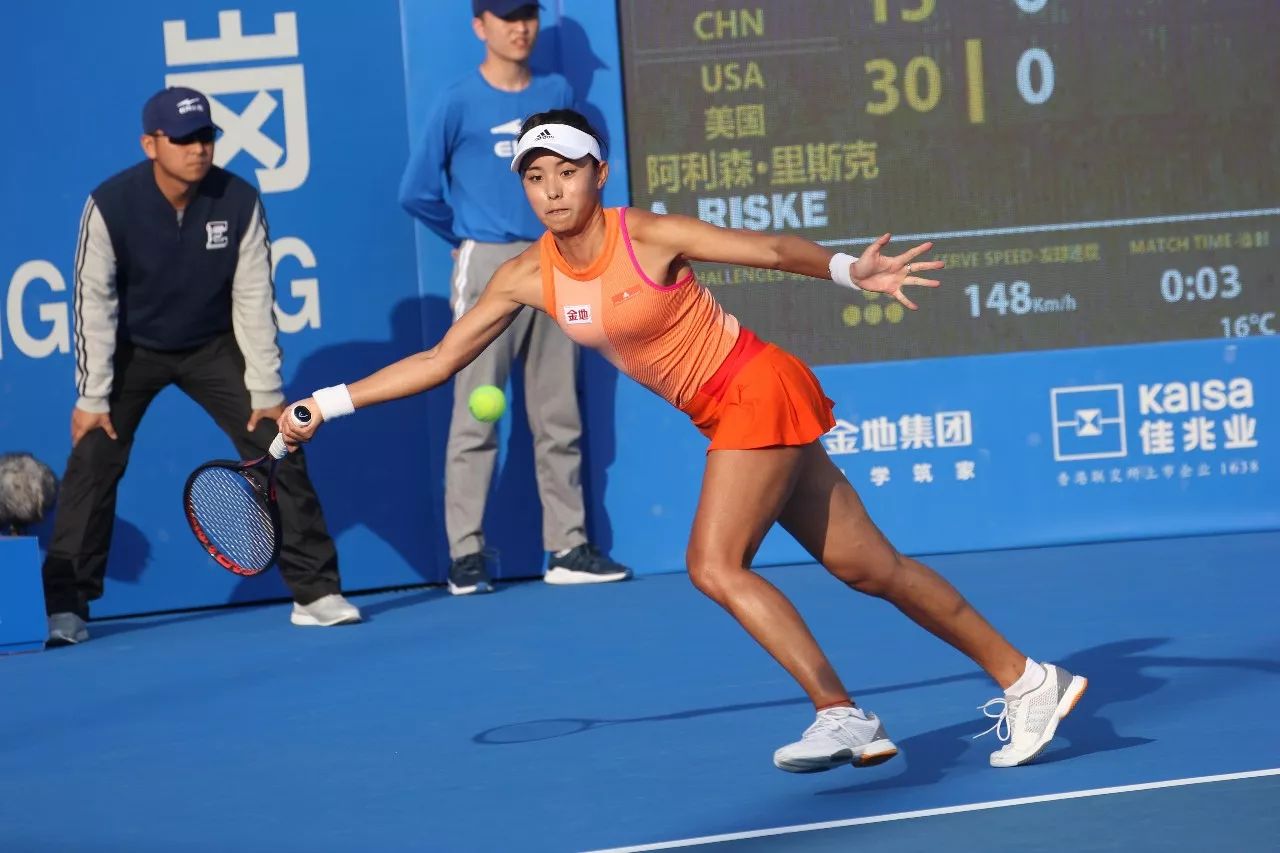 的新高度 的新高度