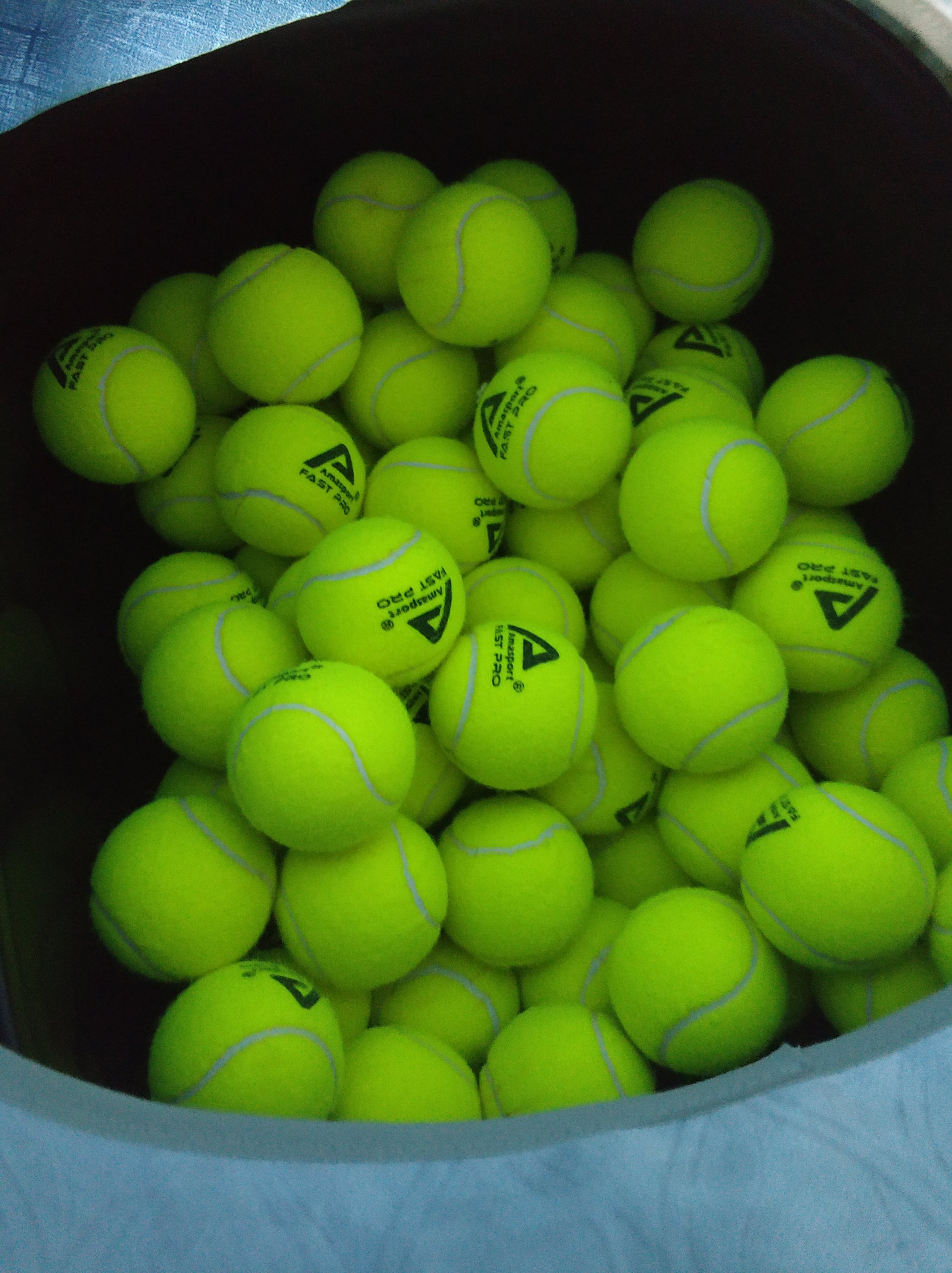 自从加盟萨 自从加盟萨