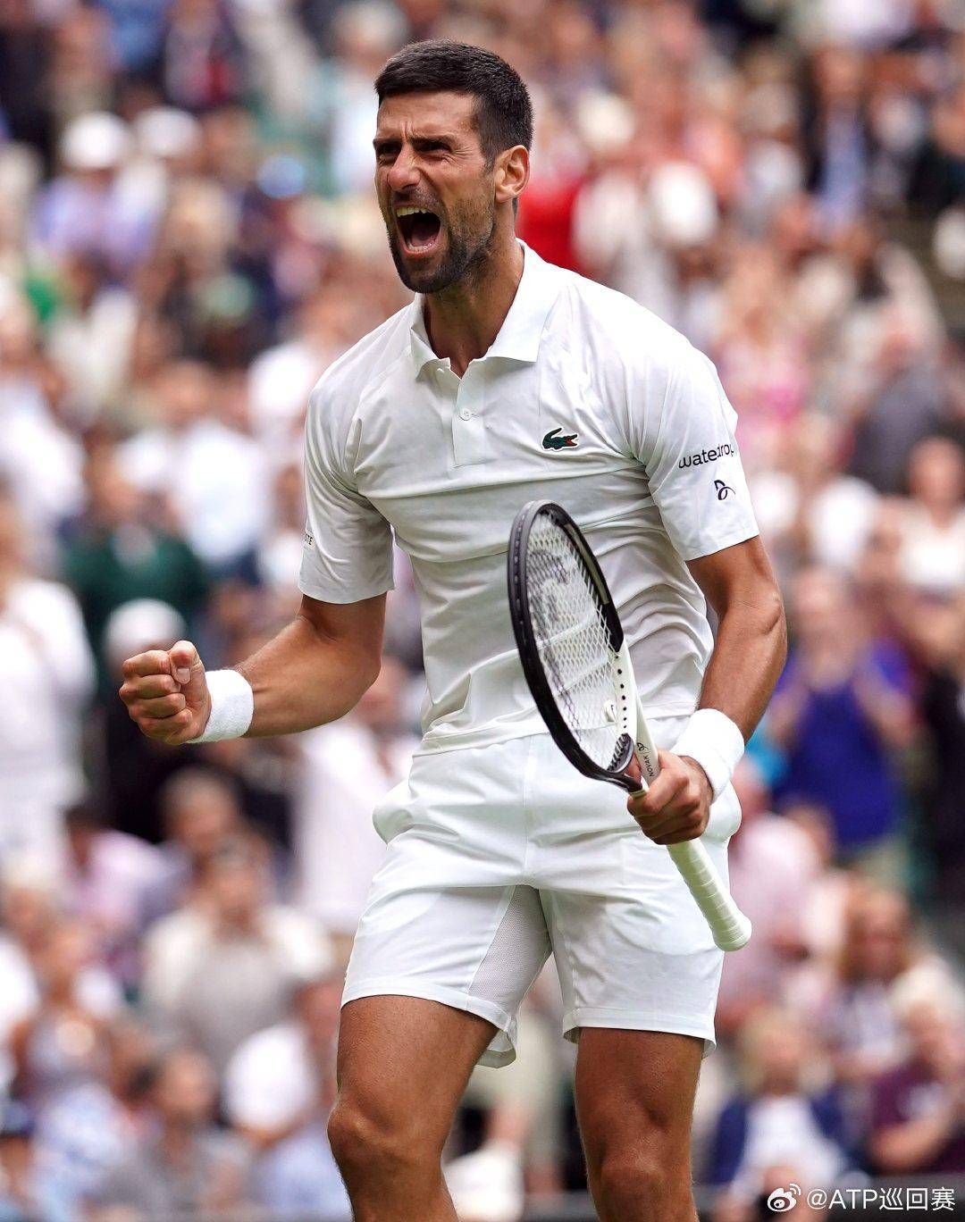 凭借快速的 凭借快速的